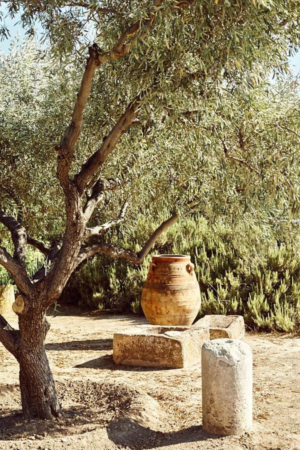 Nikolaou Art Residence Aegina Zewnętrze zdjęcie