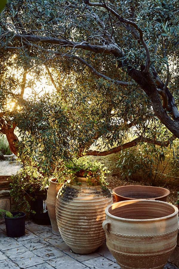 Nikolaou Art Residence Aegina Zewnętrze zdjęcie