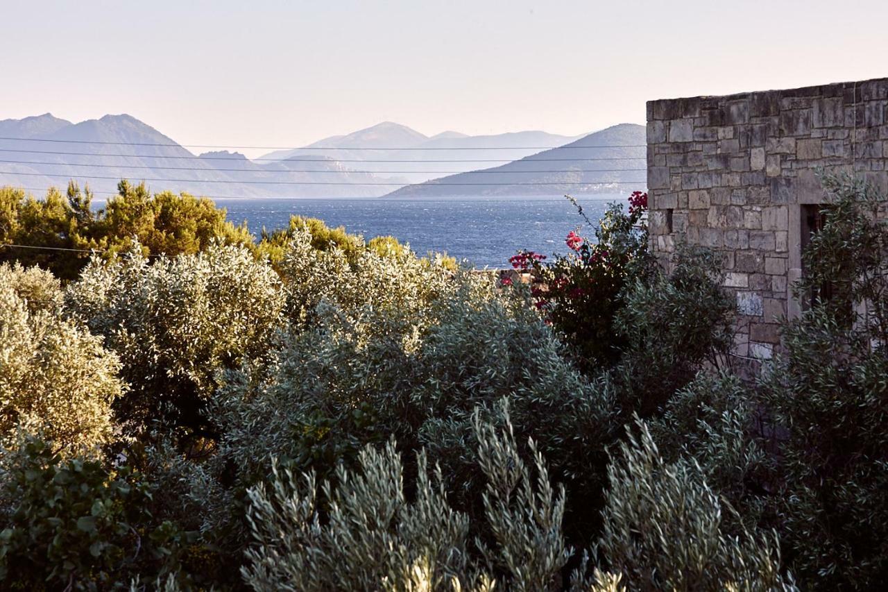 Nikolaou Art Residence Aegina Zewnętrze zdjęcie
