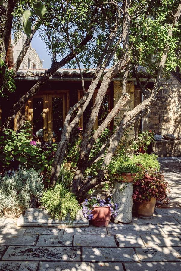 Nikolaou Art Residence Aegina Zewnętrze zdjęcie